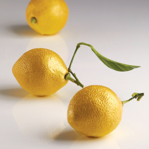 Форма силиконовая двойная "ЛИМОН" D53Мм H70Мм, 85мл, 8 ячеек Af006S